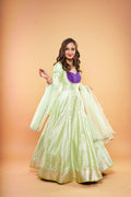 Pista Green Brocade Anarkali